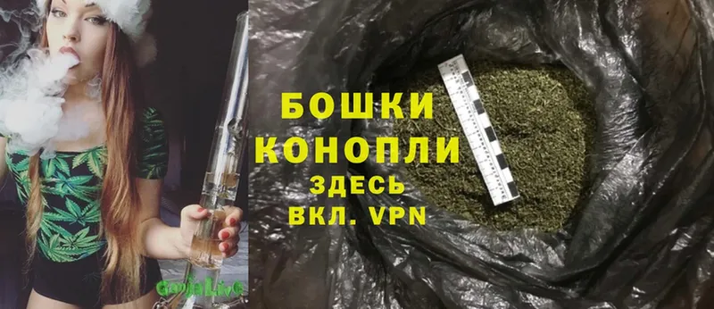 МАРИХУАНА SATIVA & INDICA  продажа наркотиков  Санкт-Петербург 